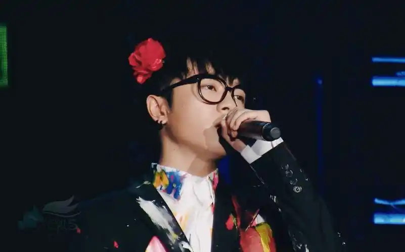 华晨宇 挑衅(2013深圳巡演现场饭拍)