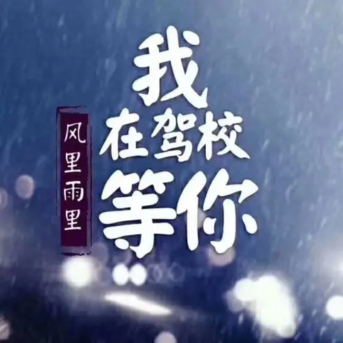 想考驾驶证的联系我 2月前