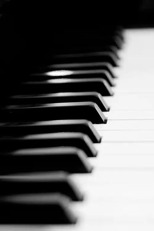钢琴键特写高清摄影图片