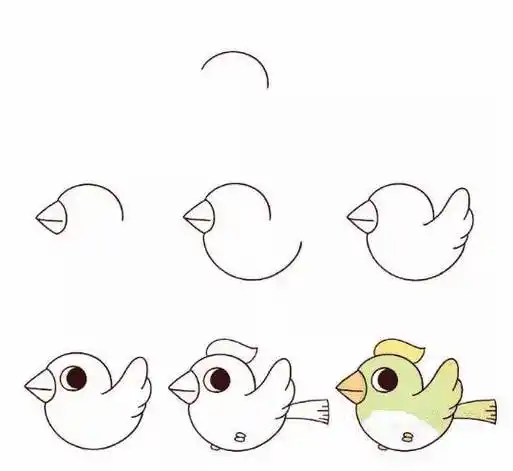 9种小鸟简笔画的画法,最适合教孩子了,建议收藏好,以后能用上