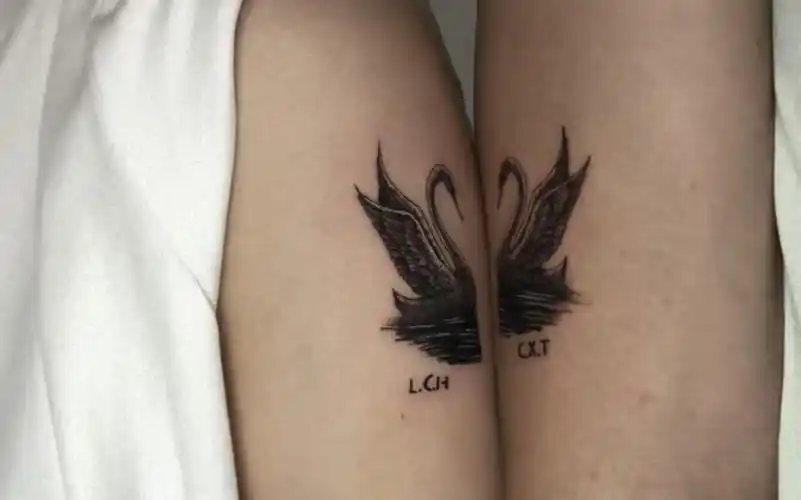 单针情侣纹身天鹅