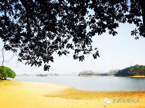 春风十里不如你--东莞松山湖