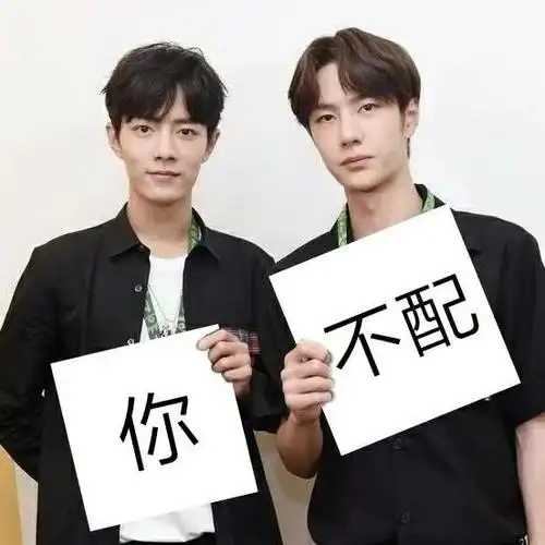 肖战王一博表情包