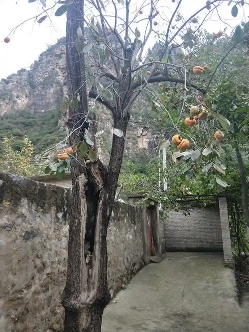 房山石人峰五合村村口写生实景