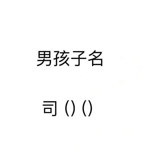 大家觉得男孩子姓司取什么好呢