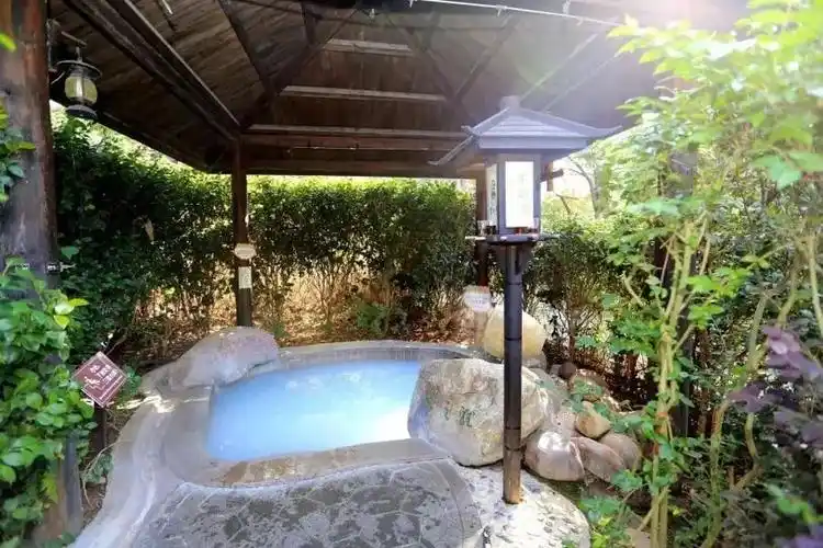 飘雪温泉清爽一夏宁乡灰汤紫龙湾飘雪温泉一日游238元人5人以上天天发