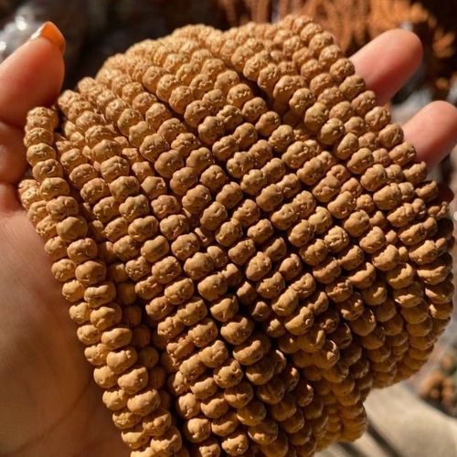 五爪金龙佛手小金刚108颗三日红玄武纹佛珠念珠网红同款藏式佛手6mm