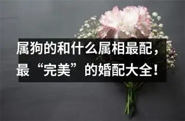 属狗的和什么属相更配, 更"完美"的婚配大全!