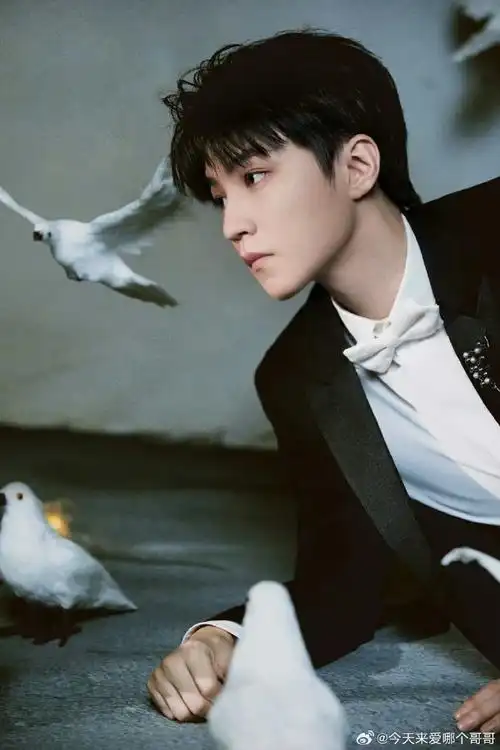 王俊凯上影节好忙##什么是野孩子