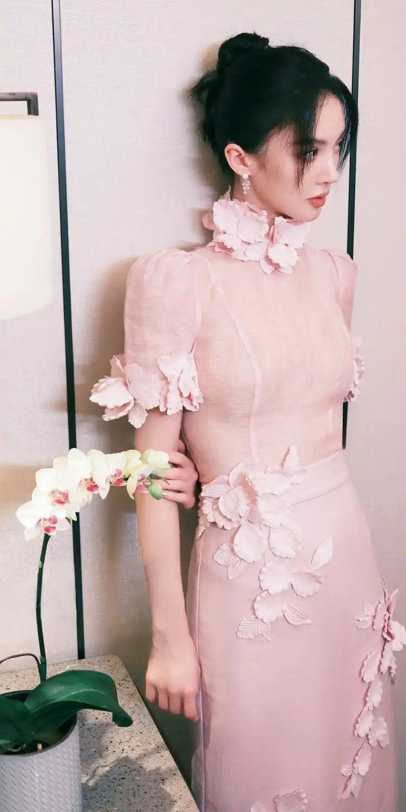 今日份女明星壁纸组图,金晨,程潇,孙芮,杨超越,吴谨言