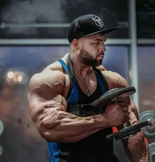 三头肌在我们练胸肌和肩膀的时候作为辅助肌肉已经得到了刺激,因此不