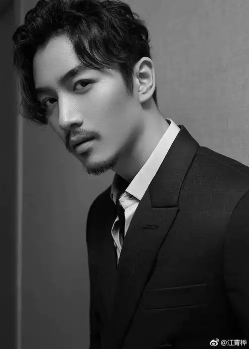 陈晓留胡子最好看的造型