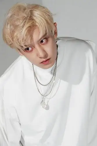 exo/朴灿烈 - 堆糖,美图壁纸兴趣社区