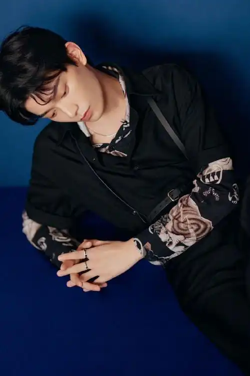 明星图片 大陆 男 丁禹兮 > 丁禹兮禁欲系背带衬衫帅气图片写真(2/6)1