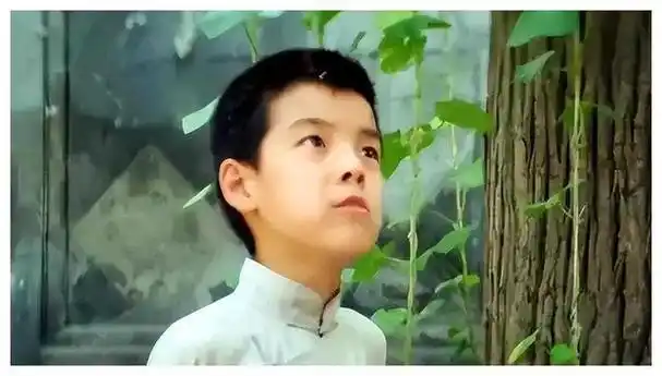 演员海一天娶二度美妻继子称之如亲幸福家庭重生