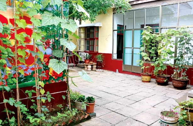 美丽庭院济宁任城家庭小美汇成乡村多彩大美画卷