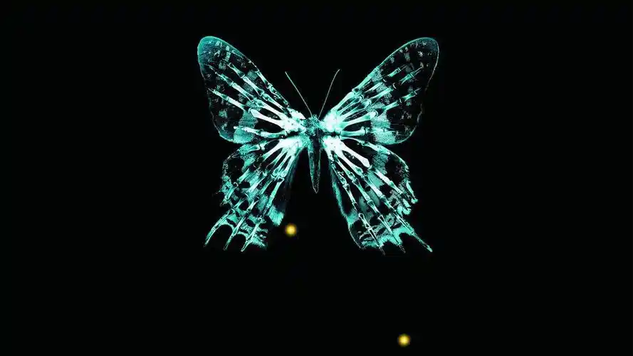 刷虎牙人气软件 - 抖音40元1000赞-qq空间刷赞软件手机