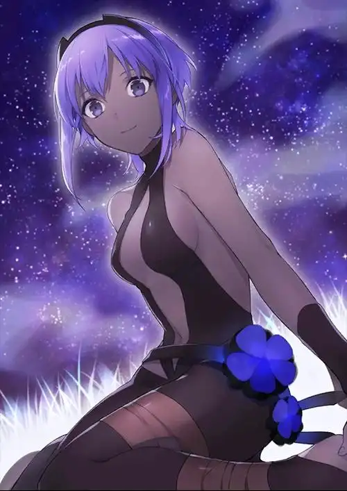 fgo静谧的哈桑满破图鉴 各灵基再临阶段立绘欣赏