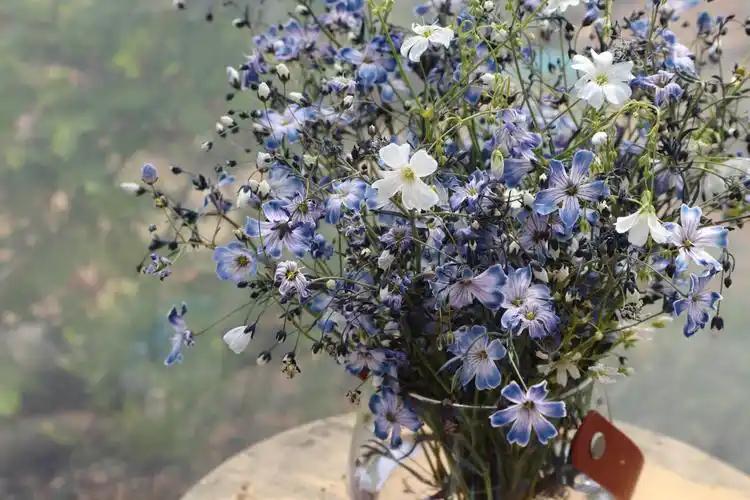 满天星吸染效果,爱了爱了 - 堆糖,美图壁纸兴趣社区