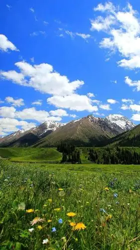 七彩萌乐园聆听视障儿童用歌声描绘最美的蓝天