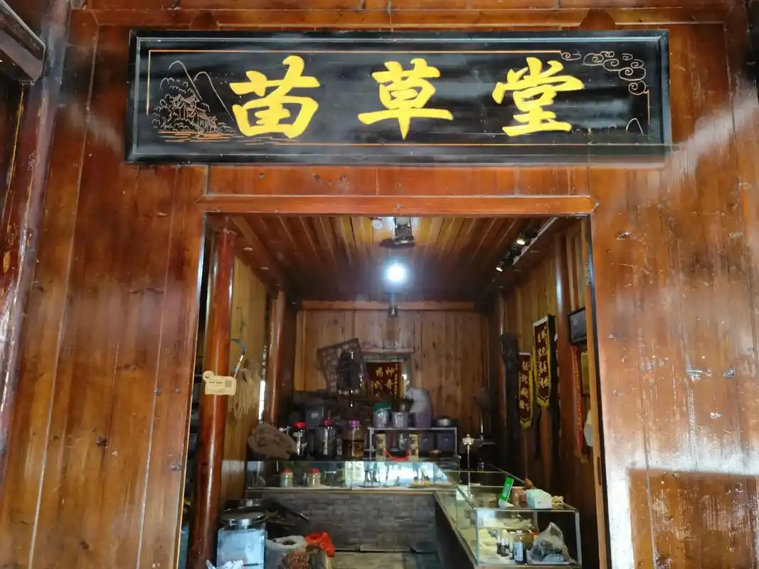 苗医苗药.有幸在西江遇到一位苗医 这位苗医常年在深山之中 上 - 抖音