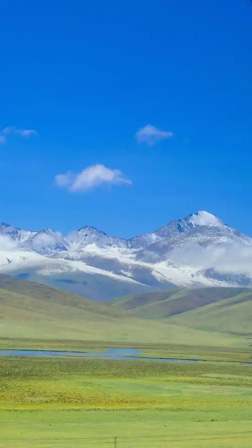 1080_1920竖版 竖屏