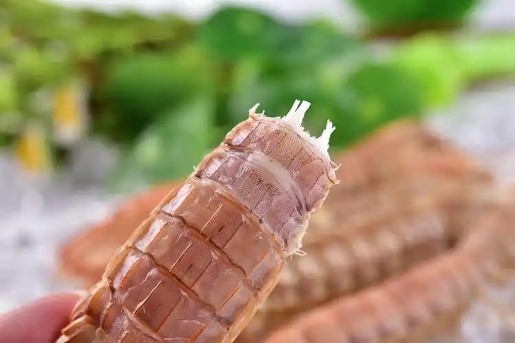 海鲜,各种鲜活海鲜