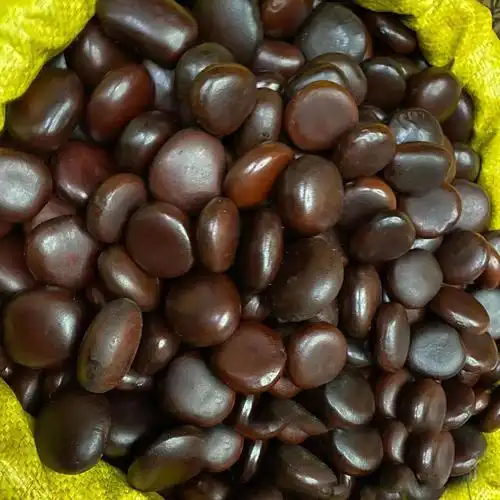 云南木腰子-云南木腰子厂家,品牌,图片,热帖-阿里巴巴