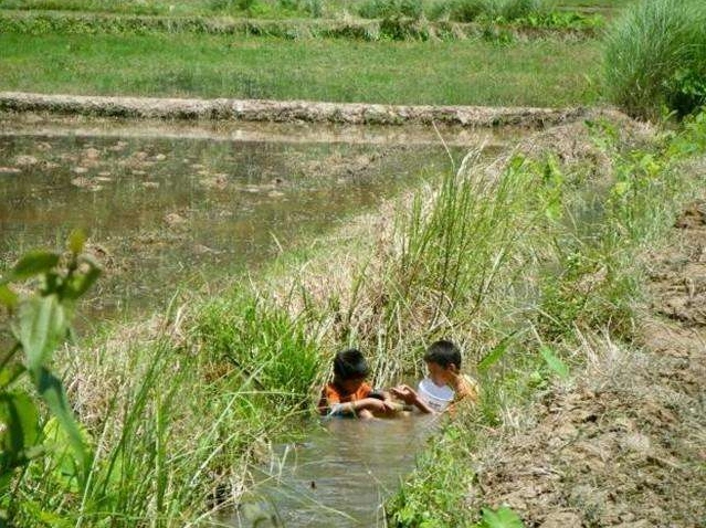 小文的童年农村生活,砍柴,插秧,钓麻拐