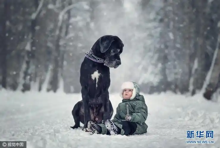 最萌身高差!俄大狗和小孩互动超有爱(组图)