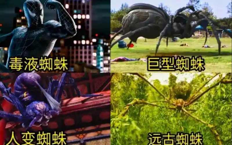 盘点电影中的变异蜘蛛怪你觉得哪个更厉害毒液蜘蛛太帅了