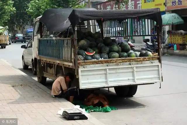 小型卡车做什么生意好(小型卡车做水果生意怎样)