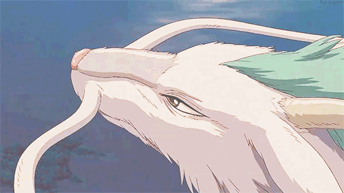 龙gif胡须gif飞行gif海面gif