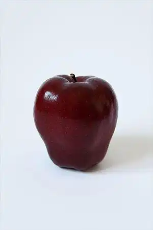 单个物体图片_全景网