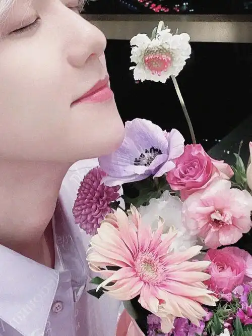 边伯贤  #情人节  #爱丽  情人节朋友圈里一刷全都是边伯贤送的花是