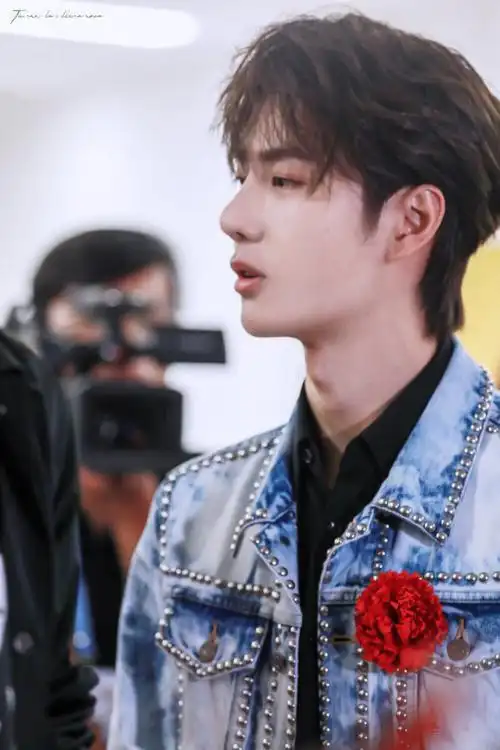 抖音作品王一博红芍药