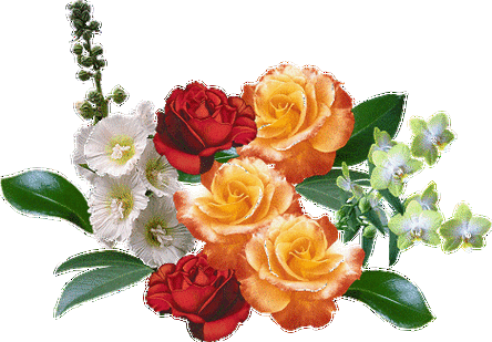 【最新编辑*免抠素材】最新编辑免抠音画素材【八】漂亮鲜花免抠闪图