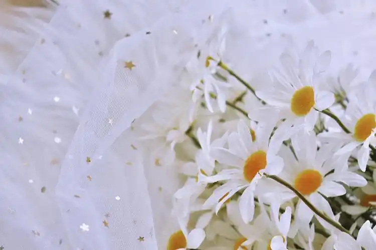 电脑壁纸 桌面壁纸 聊天背景 锁屏壁纸 ins 油画 iphone 【禁商用】