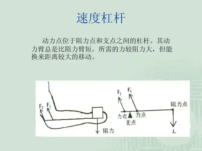 速度杠杆 动力点位于阻力点和支点之间的杠杆.