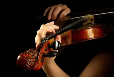 小提琴左手持琴姿势图