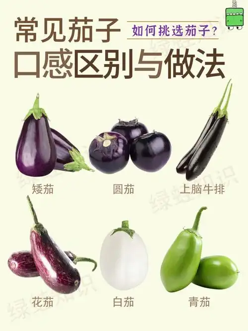 正确挑选茄子选对种类73做菜更香竟然还有