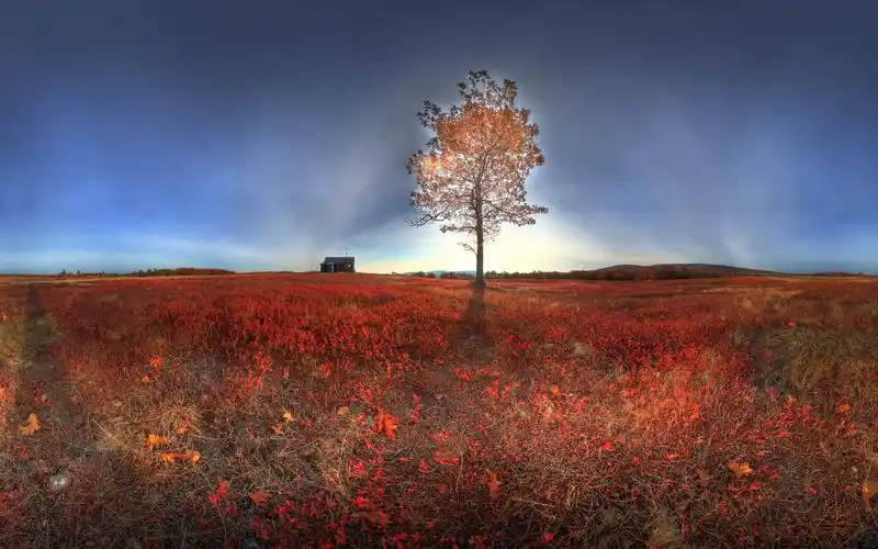 有什么令人心灵震撼的电脑壁纸吗?