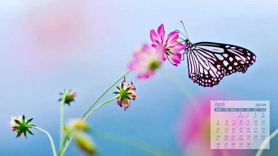 2021年4月小清新护眼养眼花卉图片日历,月历壁纸-回车桌面