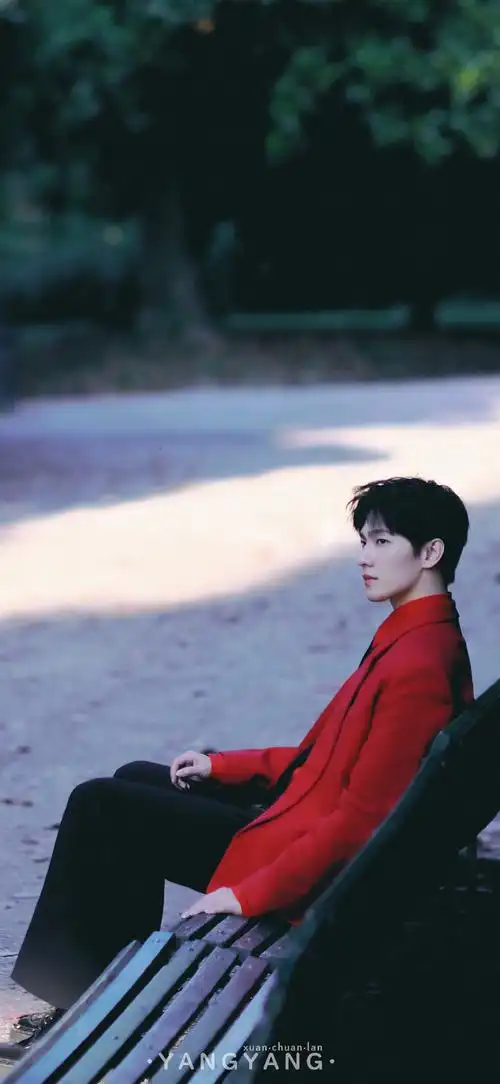 每周不一young#99#杨洋我的人间烟火#〔2023/壁纸 第208期〕蒲公英