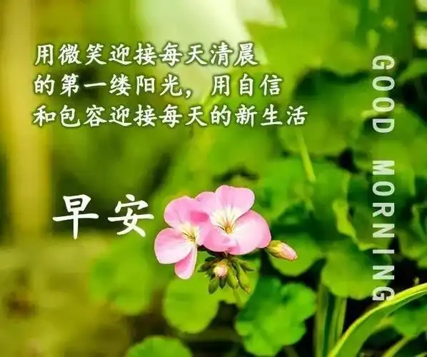 原创2021年6月25日星期五清晨早上好问候祝福图片周五最新早安问图片