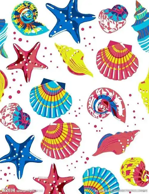 图片大全图片大全(贝壳怎么画简单又好看卡通)幼儿画海边的贝壳简笔画