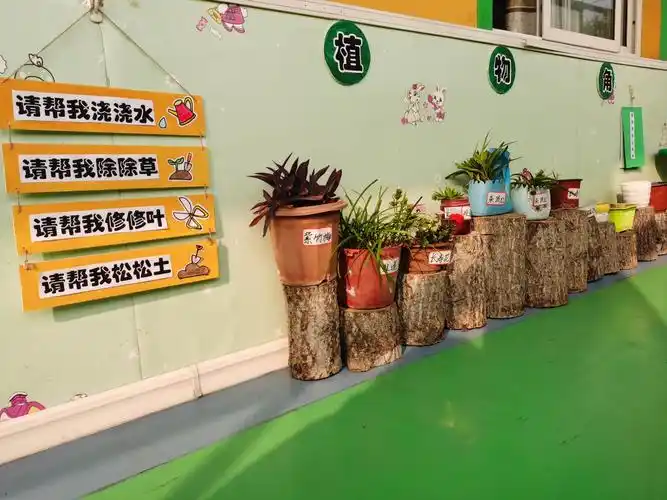 小小植物角,快乐伴成长——周庄镇中心幼儿园植物角创设活动