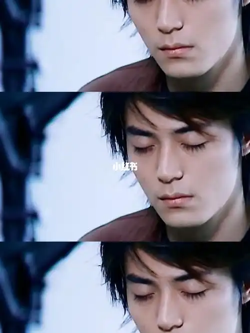 霍建华  他年轻的时候真的非常帅