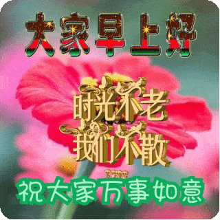 2022最新早上好表情包新的一天祝大家开心快乐幸福安康