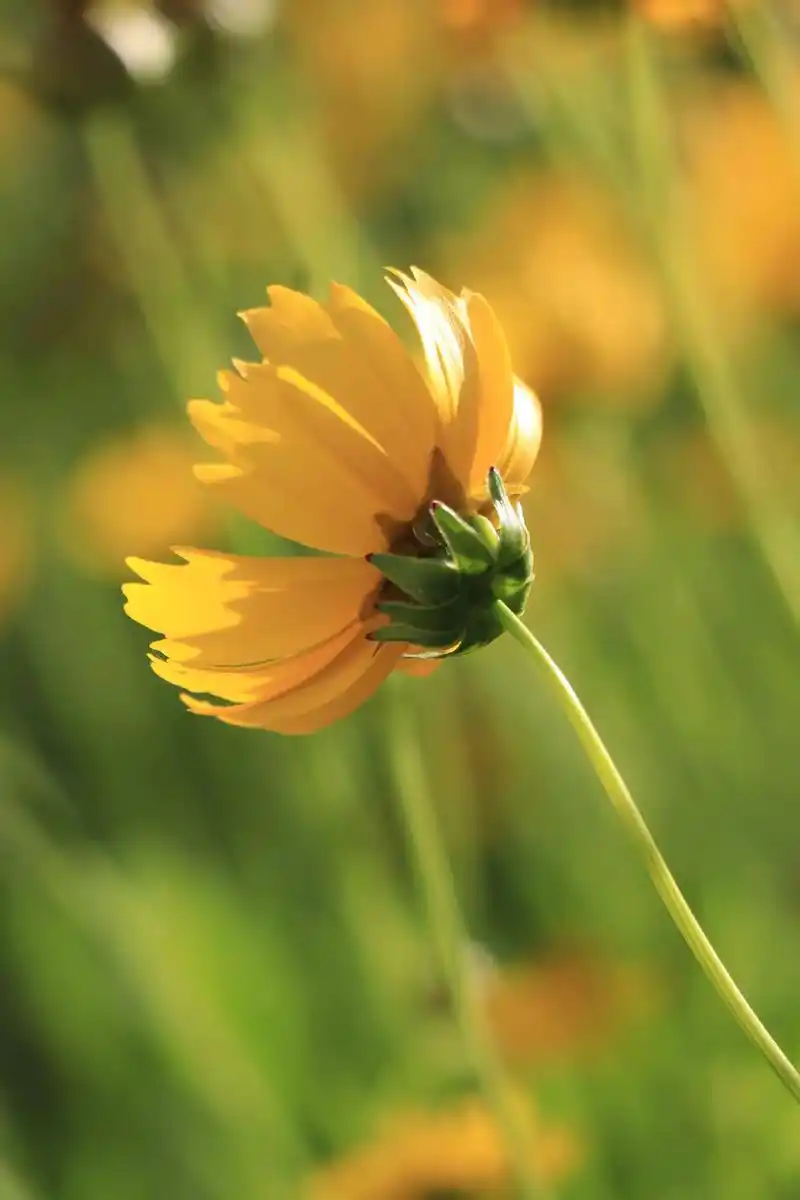 1440_2160竖版 竖屏